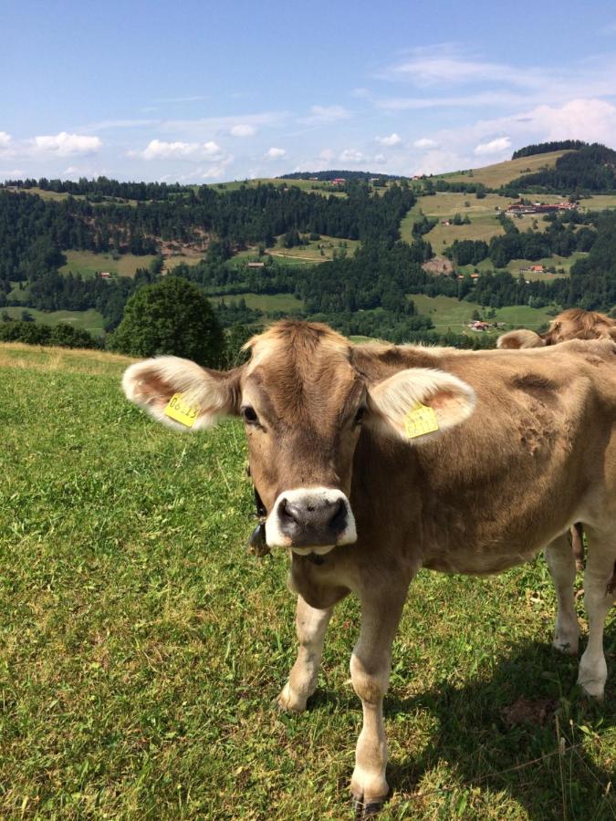 Ferienwohnungen Weixler Schindelberg Oberstaufen Exterior foto